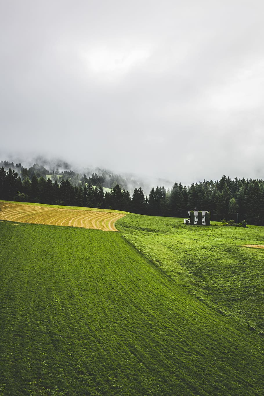 landscape, nature, sky, clouds, cloudy, conifers, countryside HD wallpaper