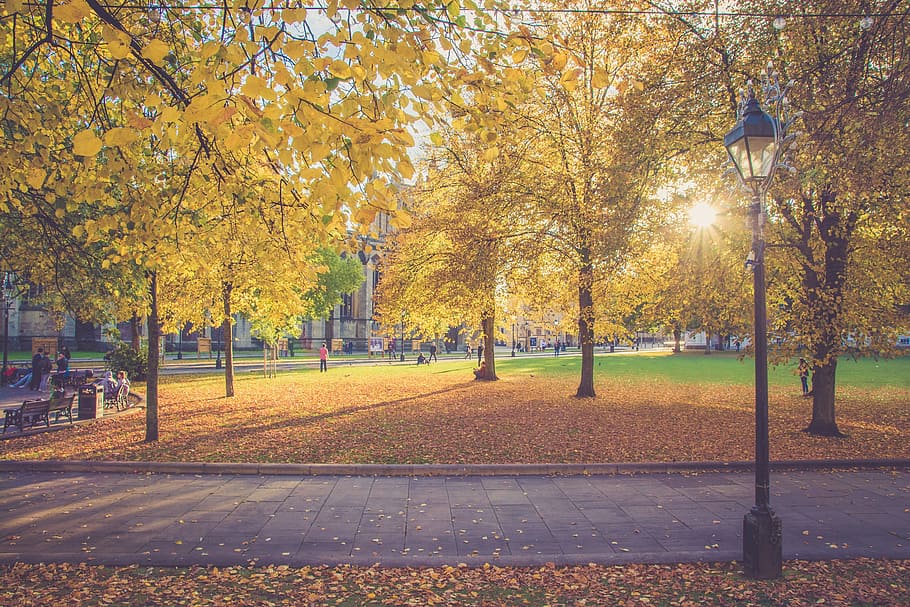 pole, light, bulb, people, park, dating, men, women, friends HD wallpaper
