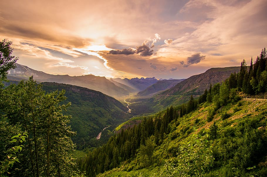 green mountain, clouds, cloudy, conifers, dawn, daylight, environment HD wallpaper