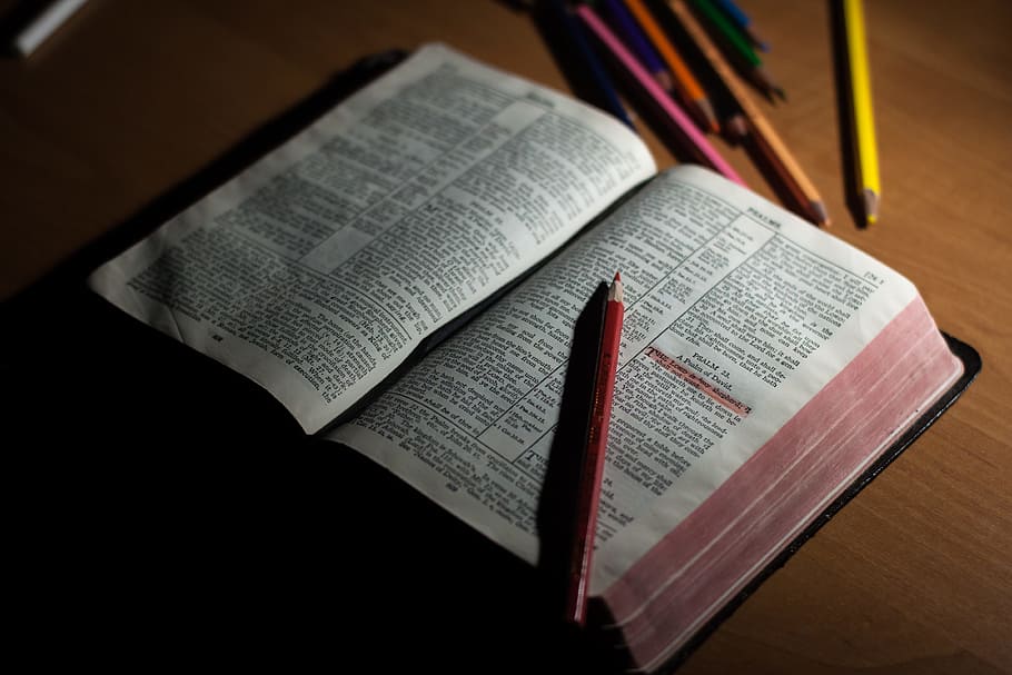 red, table, business, wooden, bible, book, christian, christianity