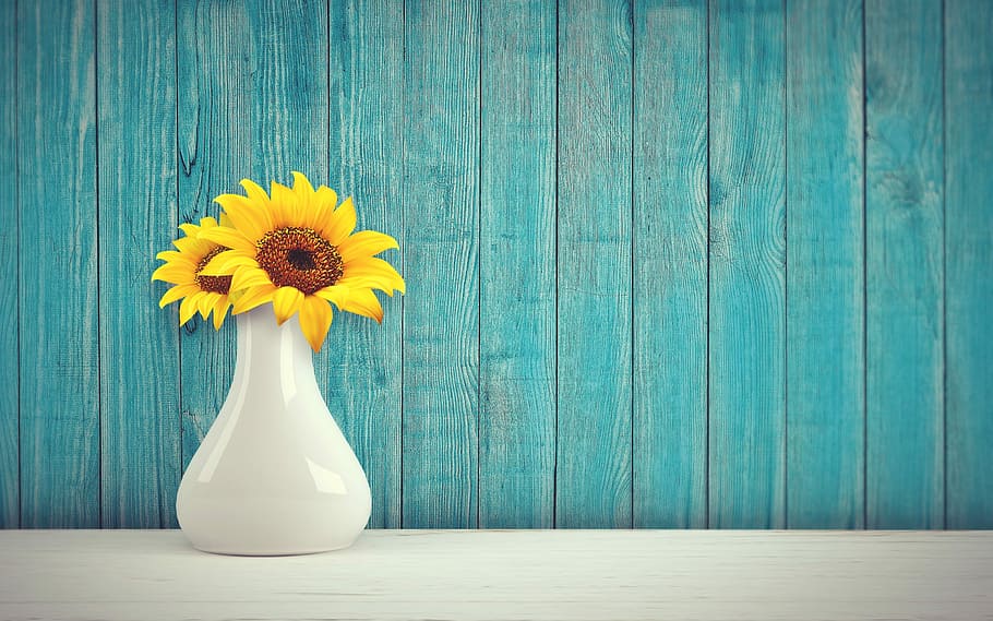two yellow sunflowers in white ceramic vase, sun flower, vintage, HD wallpaper