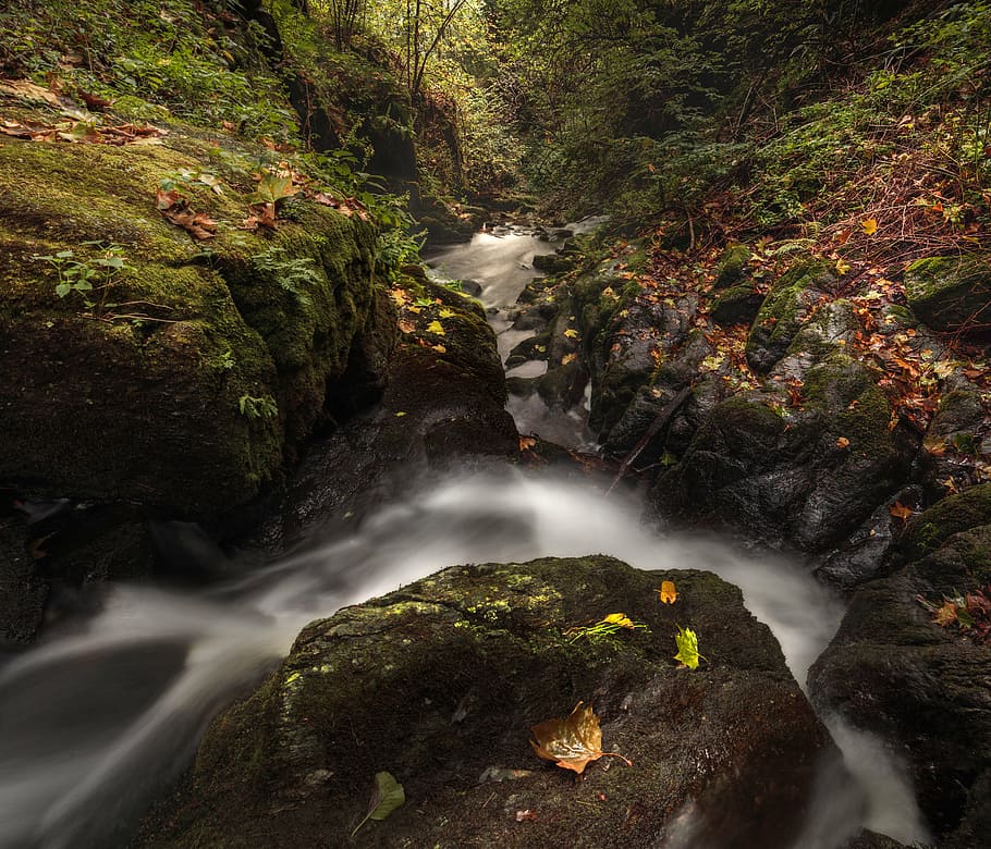 cascade, creek, environment, fall, flow, forest, landscape HD wallpaper