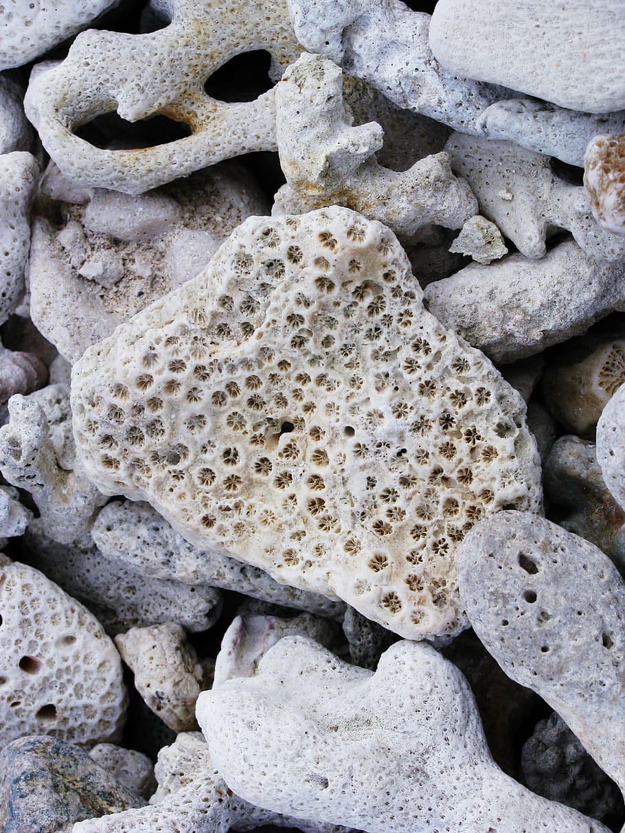 stone, natural, beach, no people, solid, nature, rock, close-up HD wallpaper