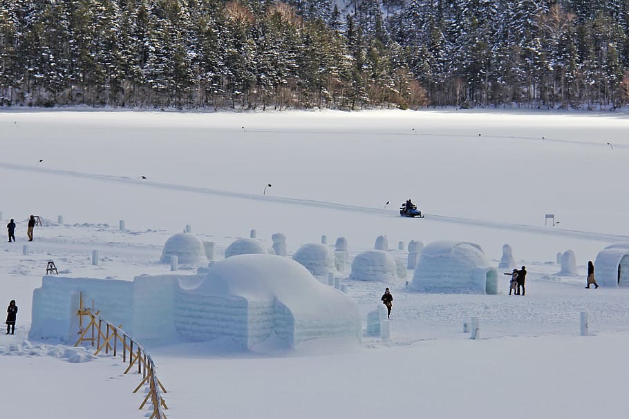 Lake, Frozen, Freezing, shikaribetsu, afternoon, winter, snow