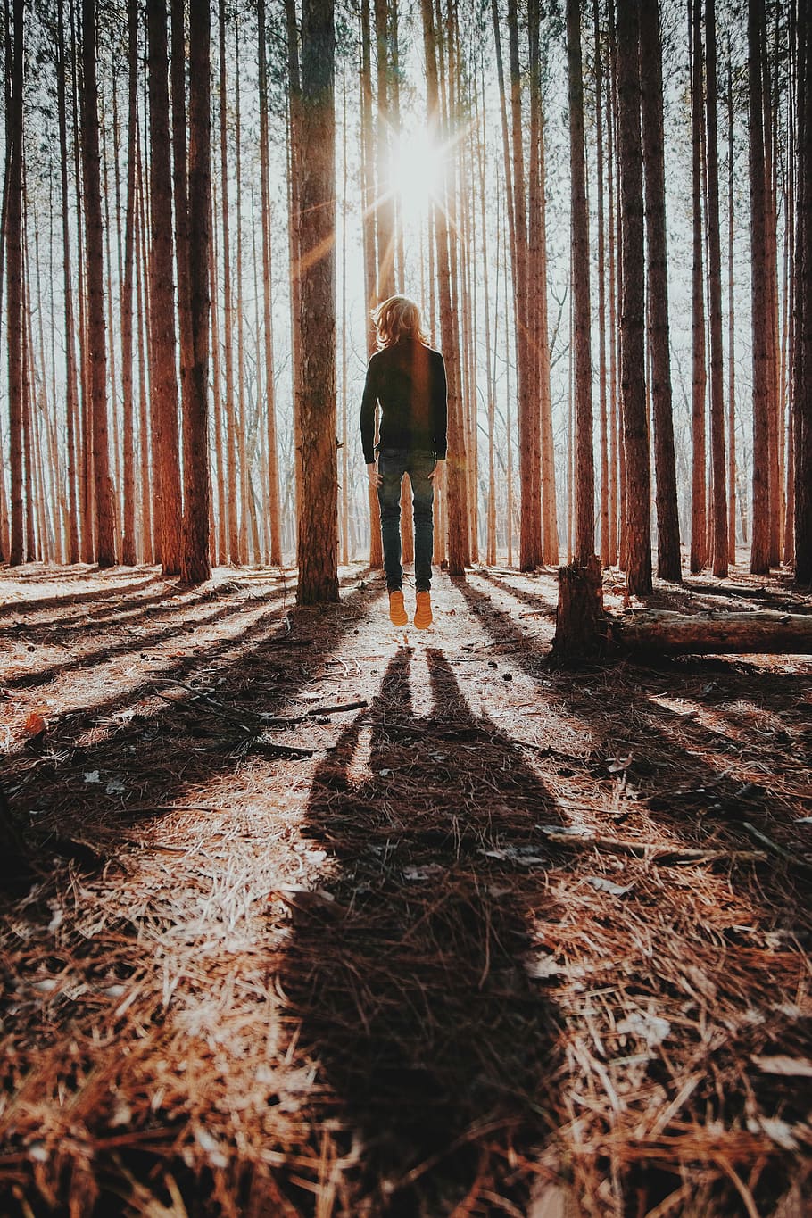 silhouette of man jumping on forest, levitating person at woods HD wallpaper