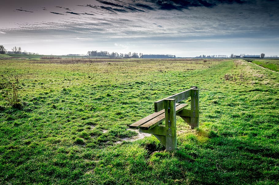 brown wooden bench in the middle of green grass lawn, Polder HD wallpaper