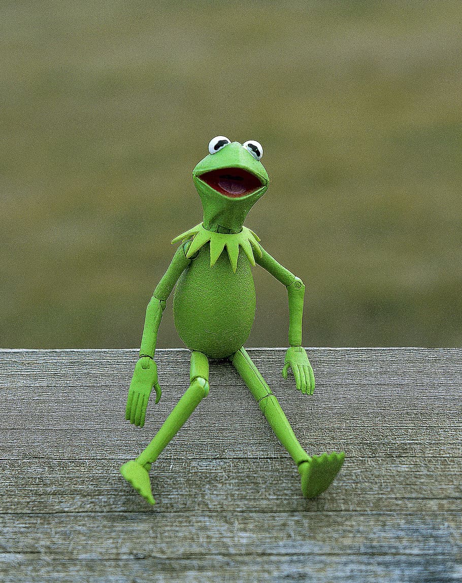 Kermit, Frog, Muppet, Amphibian, green, toy, action figure, HD wallpaper