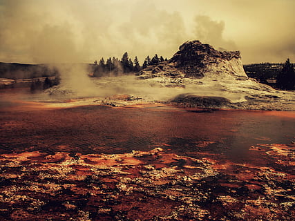 Yellowstone geyser, landscape, tree, nature, forest, sky, season HD wallpaper