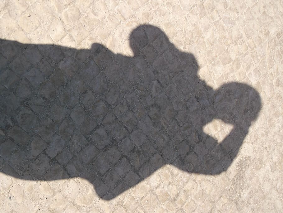 shadow, sol, light, summer, sunlight, high angle view, nature HD wallpaper