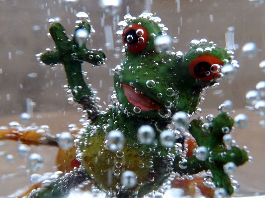frog, water, green, no people, representation, art and craft HD wallpaper