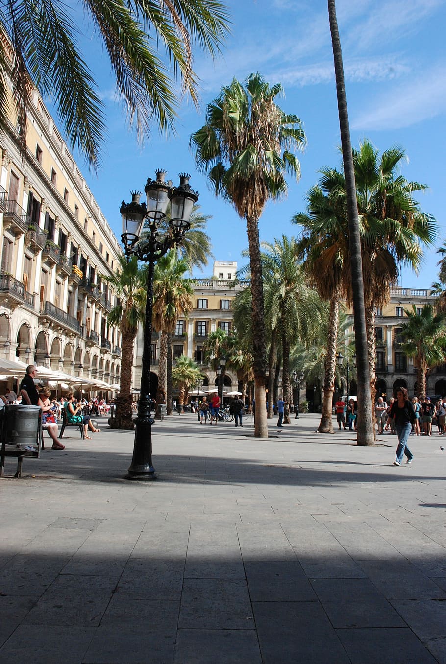 Barcelona, View, Palm Tree, Spain, place, architecture, catalonia HD wallpaper
