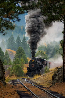 black train surrounded by trees, steam engine, smoke, train tracks HD wallpaper