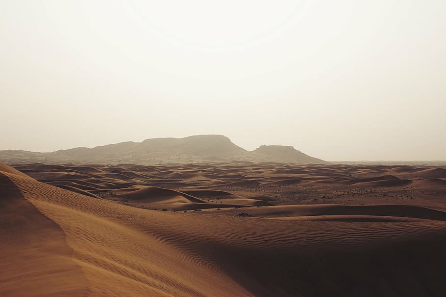 brown sand dunes, desert, landscape, dry, hot, arid, orange, sahara, HD wallpaper