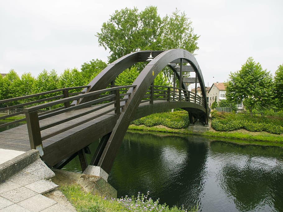 bridge, river, monforte de lemos, plant, tree, water, built structure HD wallpaper