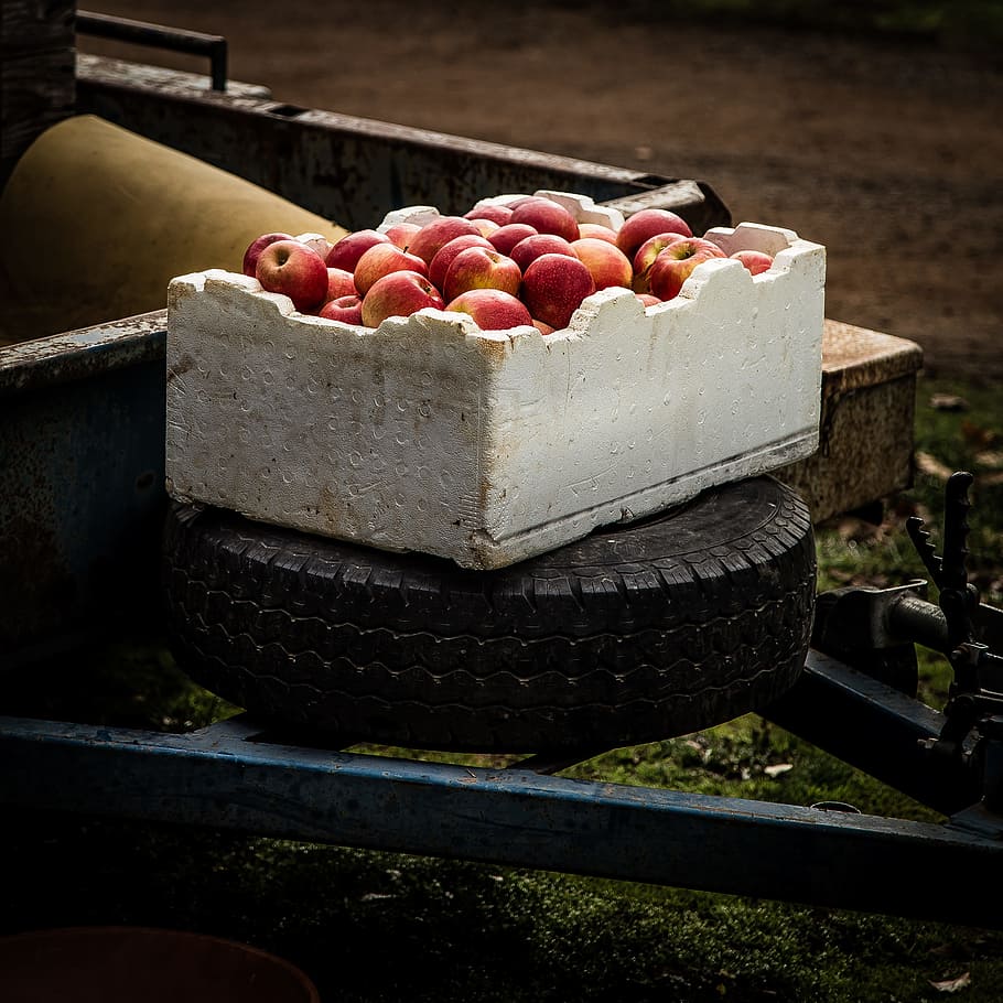 red apple fruits inside white box on top of auto tire, box of apples on vehicle tire HD wallpaper