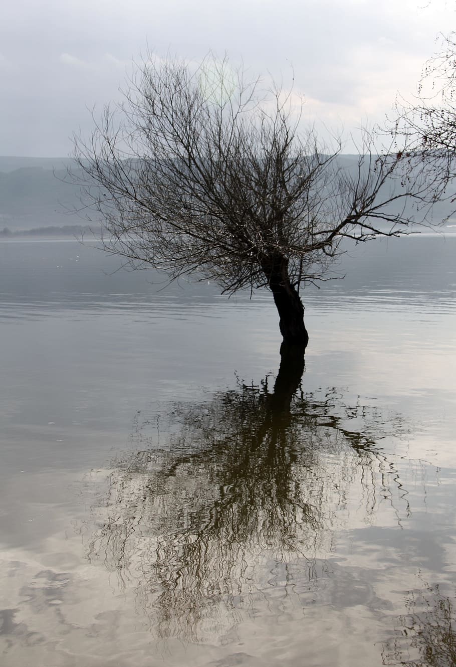 lake, tree, reflection, blue, cloud, nature, water, tranquility HD wallpaper