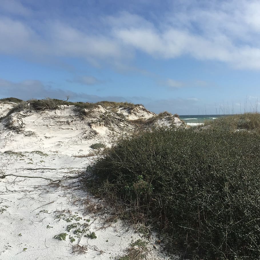dunes, sand, gulf, nature, sea, beach, coastline, sky, plant HD wallpaper