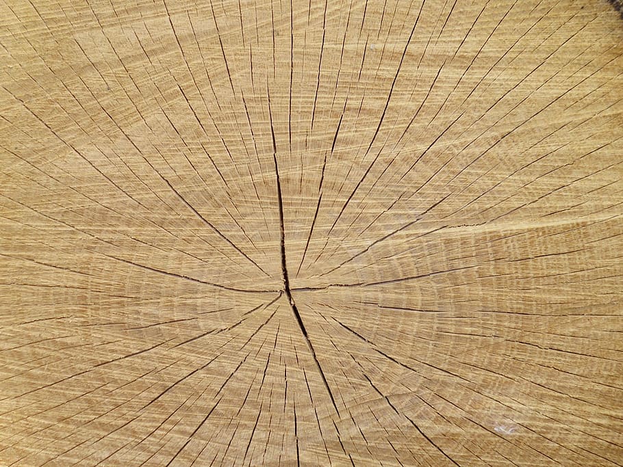 tree, slice, texture, balance beam, backgrounds, wood - material HD wallpaper