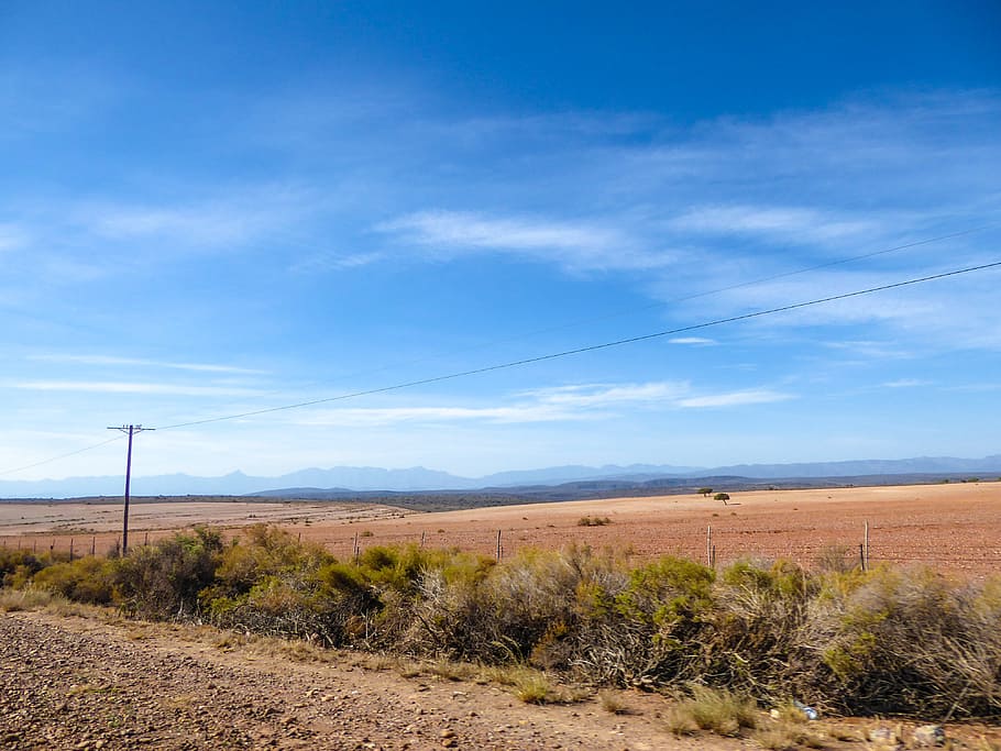 steppe, strommast, road trip, desert, semi-desert, drought HD wallpaper