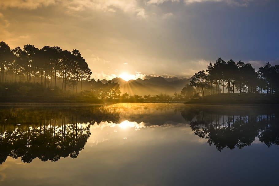 silhouette of trees near body of water during sunrise, soi ball, HD wallpaper