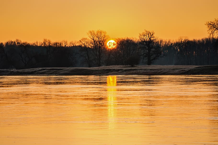 body of water during golden hour, sunrise, river, trees, mood HD wallpaper