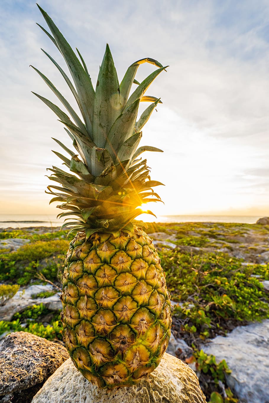 sky, clouds, rocks, pineapple, bright, close-up, colors, fruit HD wallpaper