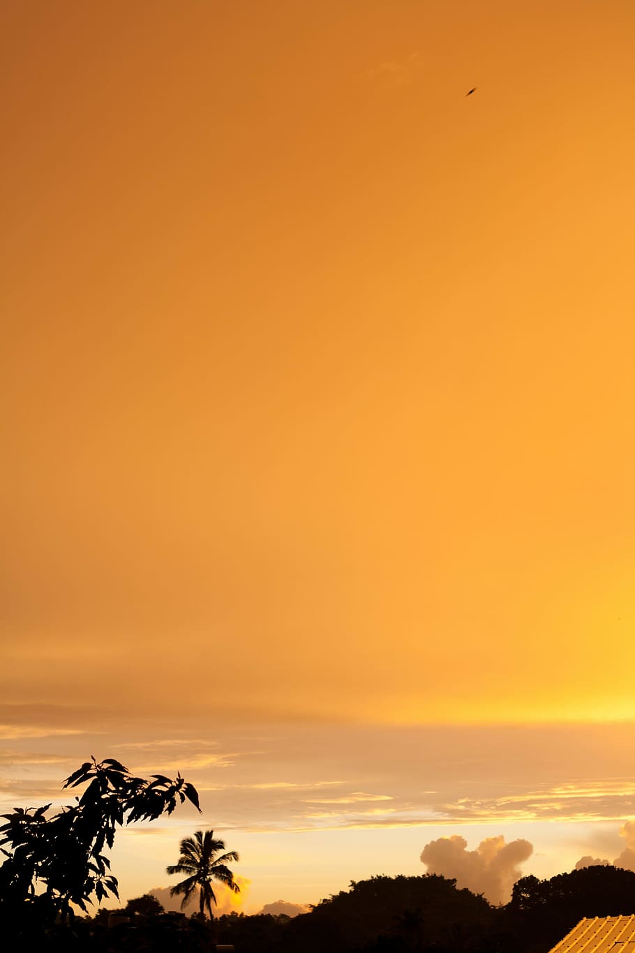 Landscape, Sun, Sunlight, bright, sunny sky, sunset, silhouette HD wallpaper
