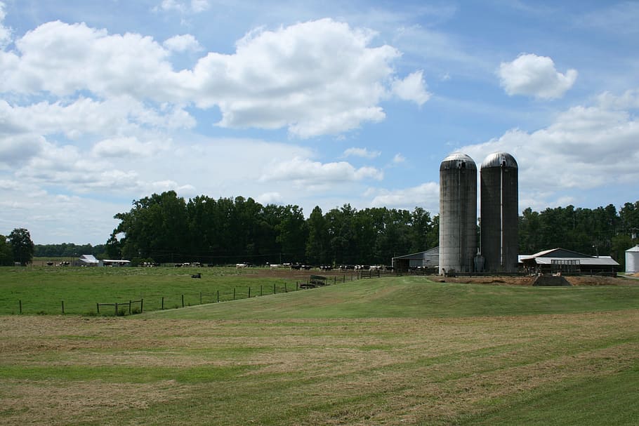 farm, silo, sky, green, field, pasture, rural, farming, storage HD wallpaper