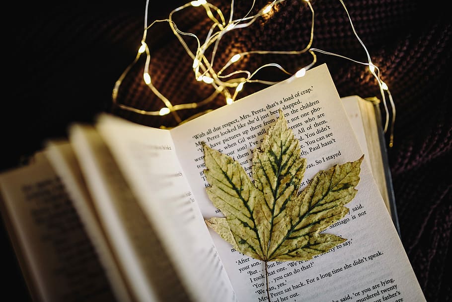 Making Magic with Fairy Lights, time, decoration, bokeh, book, HD wallpaper
