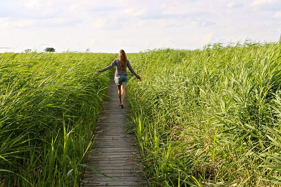 woman walking near grass field, High, Relax, Enjoy, Grasses HD wallpaper