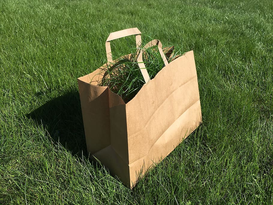 bag, grass, green, background, garden, outside, waste, brown HD wallpaper