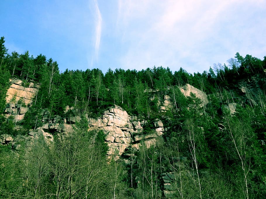 Rocks, Forest, Nature, Landscape, cliff, stone, vertical, vegetation HD wallpaper