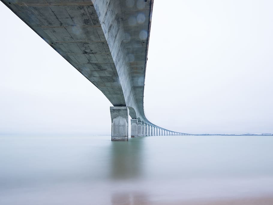 architectural photography of bridge, low angle photography of bridge HD wallpaper