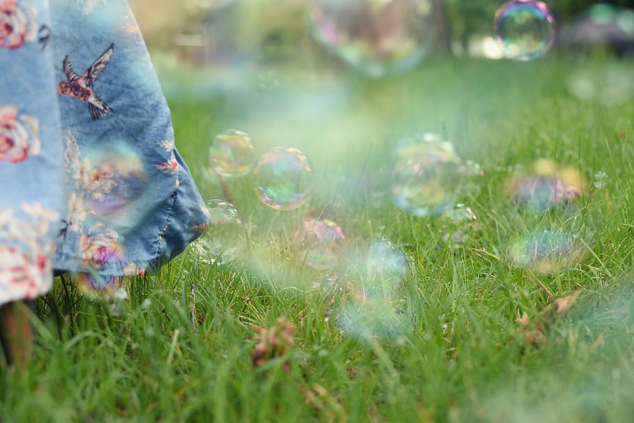 soap bubble, meadow, slightly, grass, plant, nature, selective focus HD wallpaper