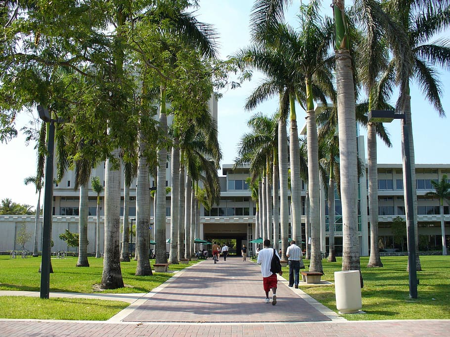 University of Miami Donna E Shalala Student Center  Arquitectonica  Architecture