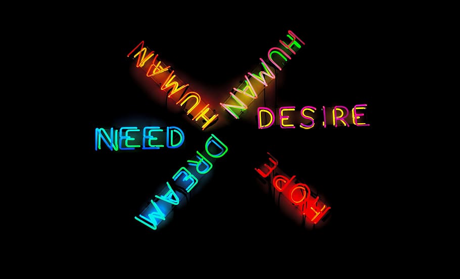 several assorted-color neon light signage, black background with text overlay, HD wallpaper
