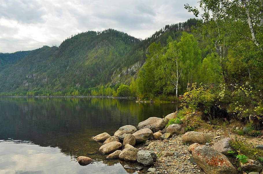 calm body of water facing mountains and trees during daytime HD wallpaper