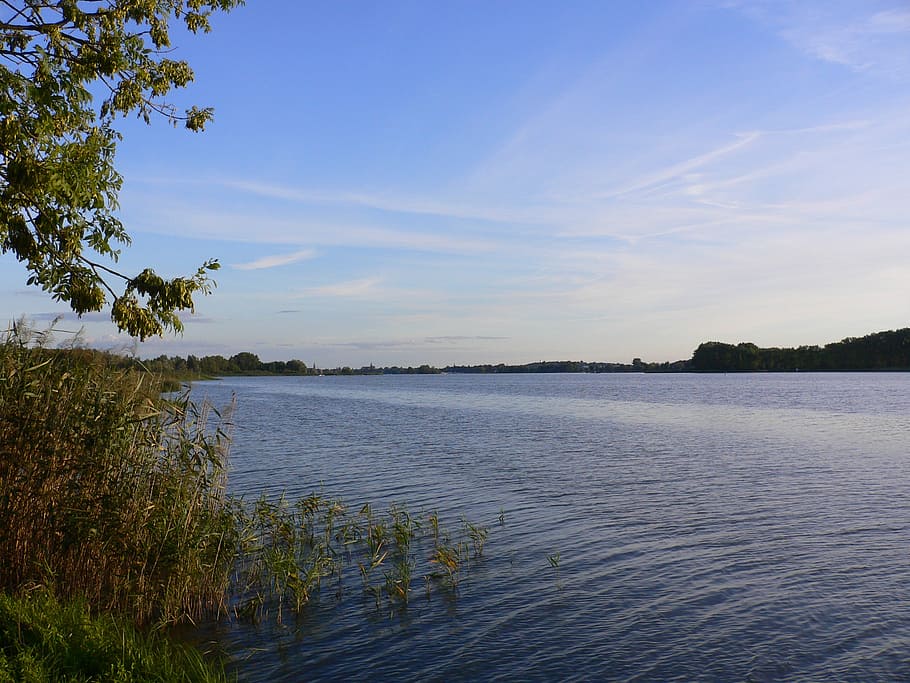 lake, gopher, quiet, evening, landscape, water, plant, beauty in nature HD wallpaper