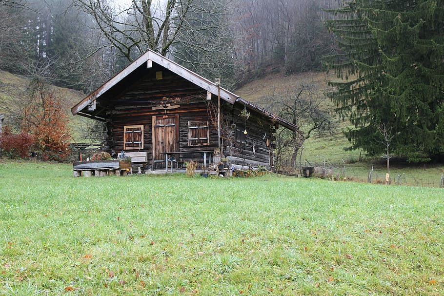 Wood, Hut, Forest, Nature, Home, rest house, refuge, accommodation, HD wallpaper