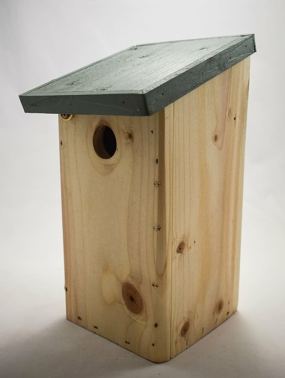 blue tit nest box, bird box, nesting box, bird nesting box, HD wallpaper