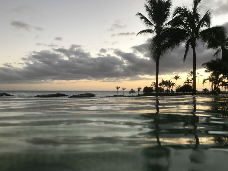 Infinite, Pool, Beach, Clouds, infinite pool, palm tree, reflection HD wallpaper