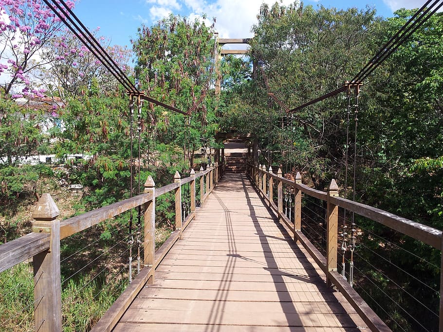 bridge in pirenópolis, path, trees, nature, forest, outdoors HD wallpaper