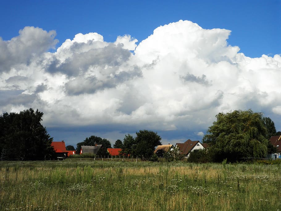 landscape, village, big cloud, houses, field, view of a village