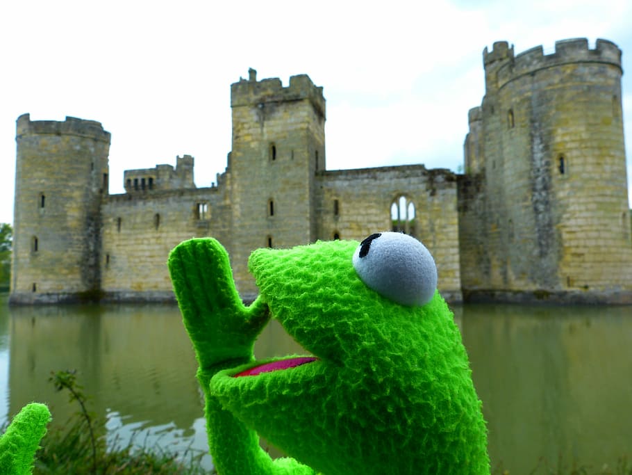 Kermit, Frog, Fun, Castle, Wasserburg, call water castle, england HD wallpaper