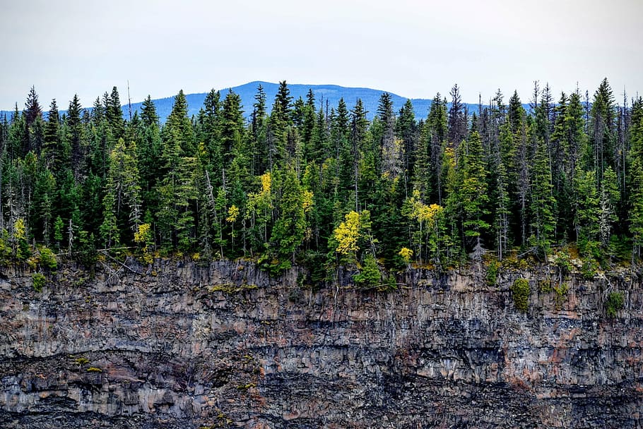 green leafed trees on top of rock formation, landscape, photography HD wallpaper