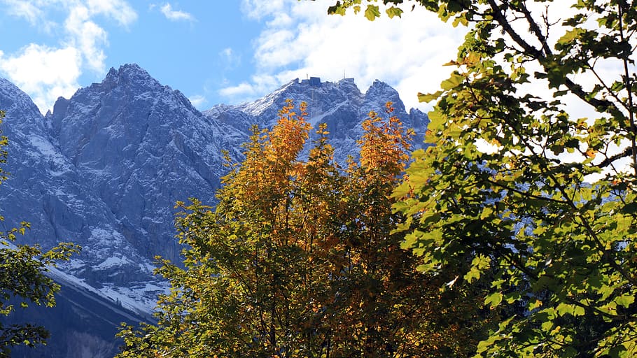 zugspitze, eibsee from, autumn, plant, beauty in nature, tree HD wallpaper