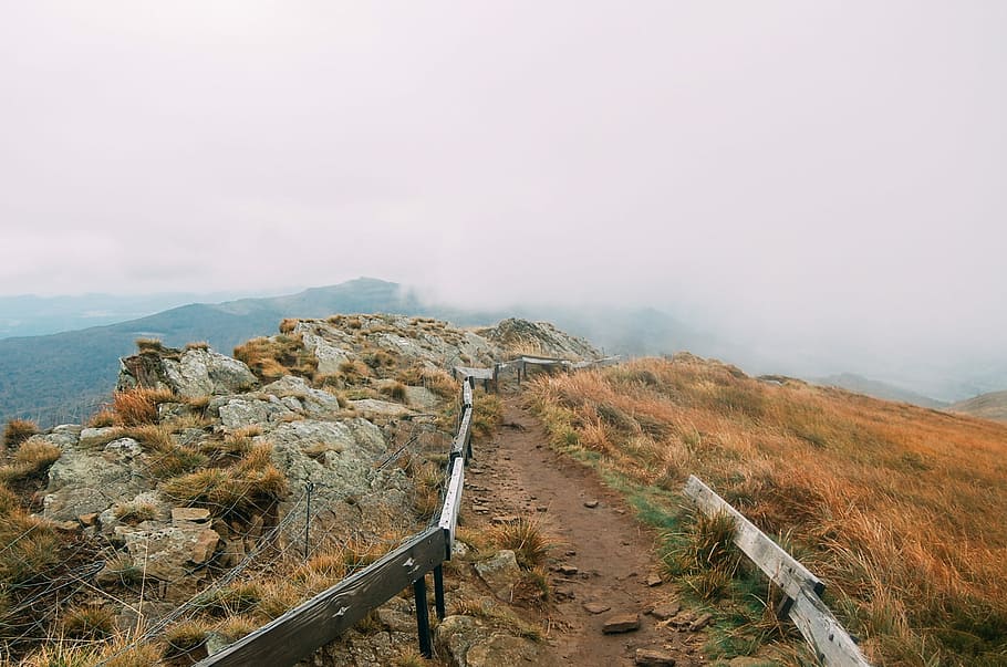 top view of mountain covered by clouds during daytime, fog, grass HD wallpaper