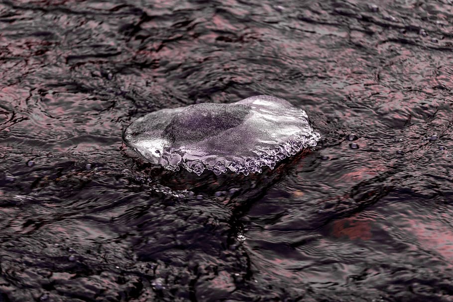Winter, Ice, Water, Icicles, Lake, Snow, close-up, heart shape HD wallpaper