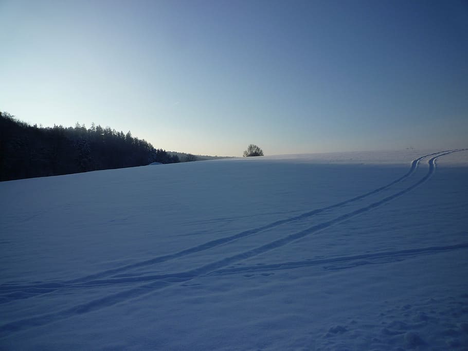 winter, snow, cold, traces, white, snow magic, landscape, wintry HD wallpaper