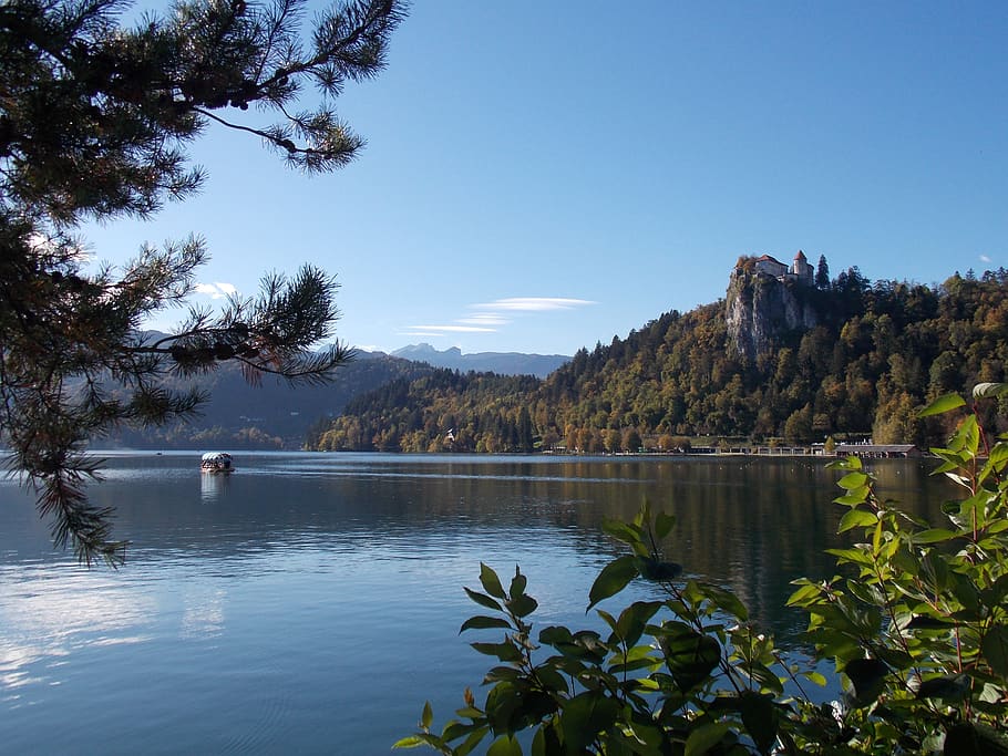 bled, nature, lake, water, tree, plant, beauty in nature, sky HD wallpaper